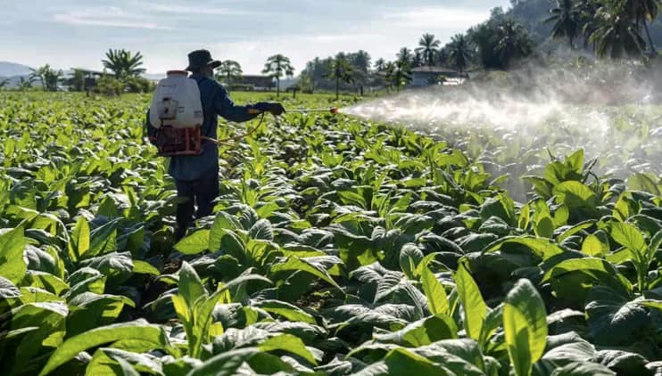 Pesticides commonly used for tobacco farming in Zimbabwe